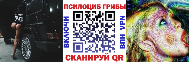 Псилоцибиновые грибы MAGIC MUSHROOMS  купить закладку  Катав-Ивановск 
